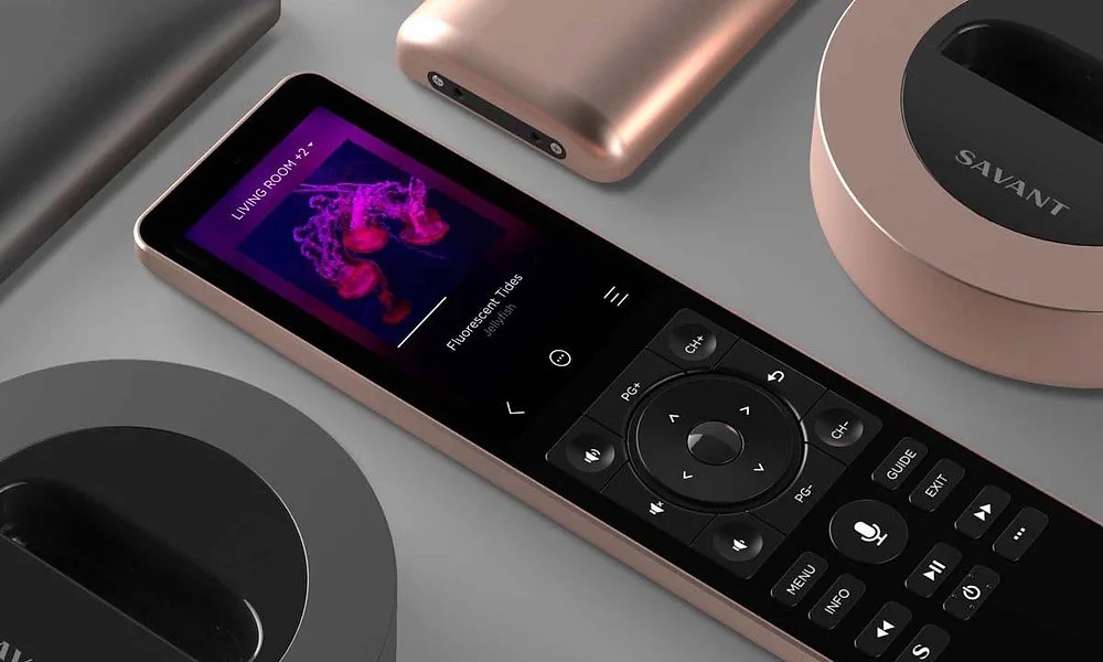 Savant handheld remote and control accessories
