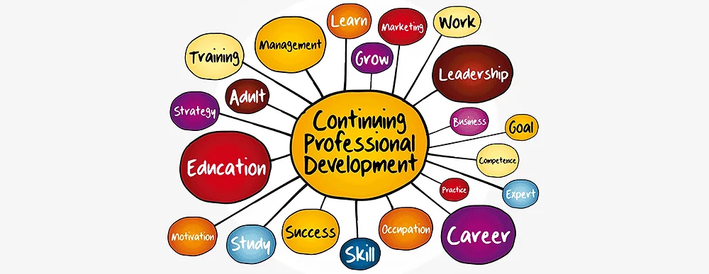 Professional development topic diagram