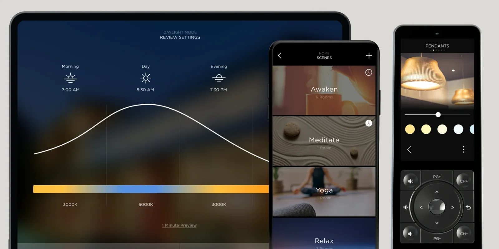 Savant touchscreen, mobile app and remote controls
