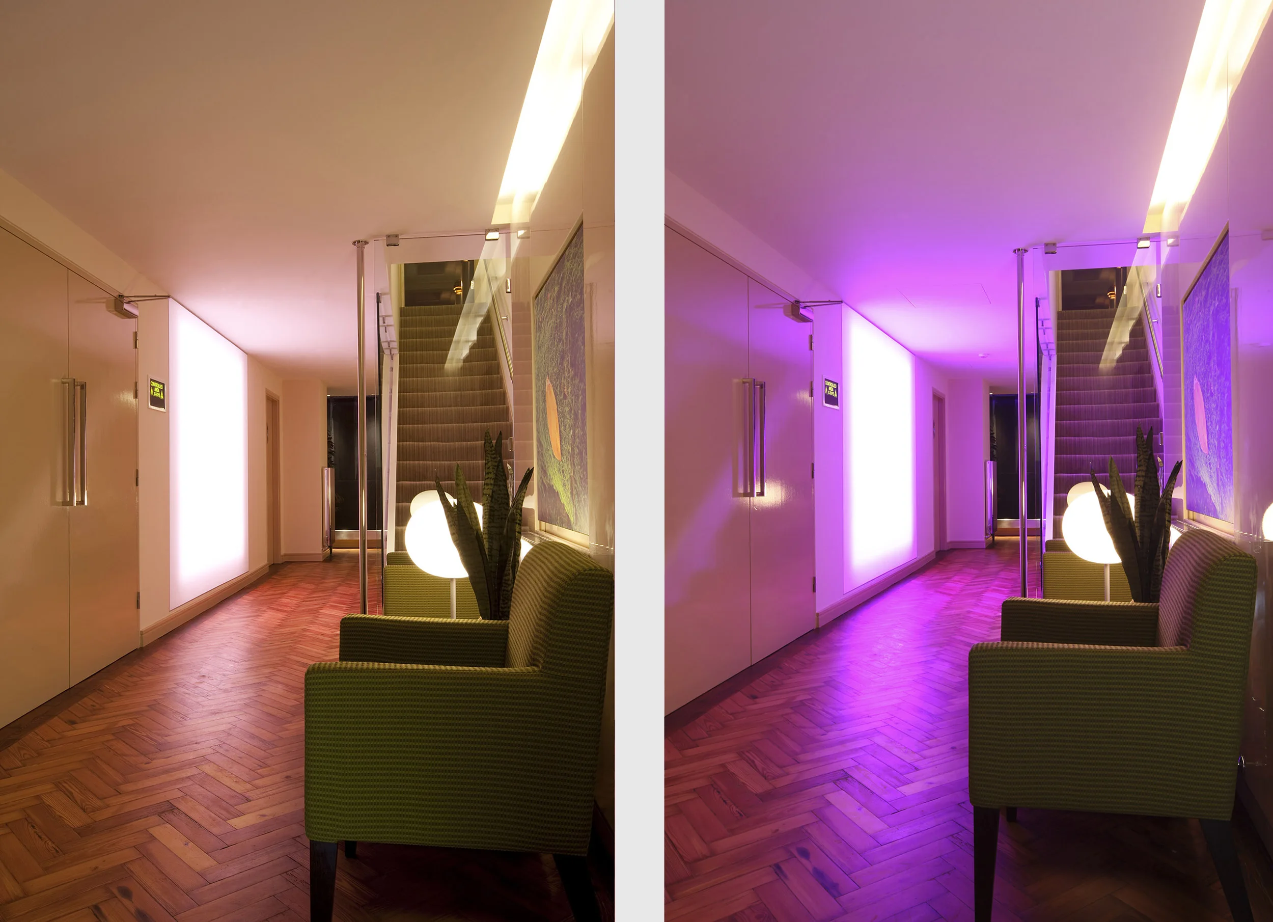 Harley Street Rako Lighting Hallway